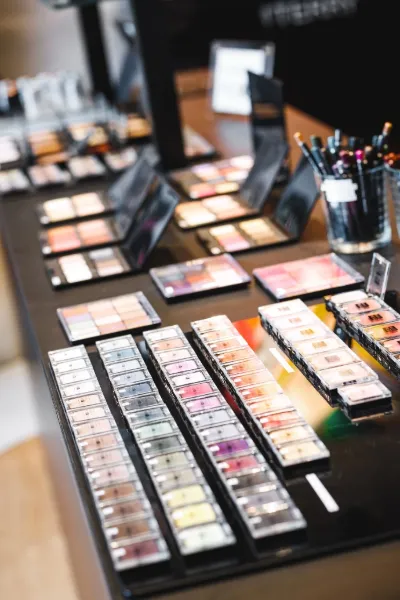 Professional makeup palettes